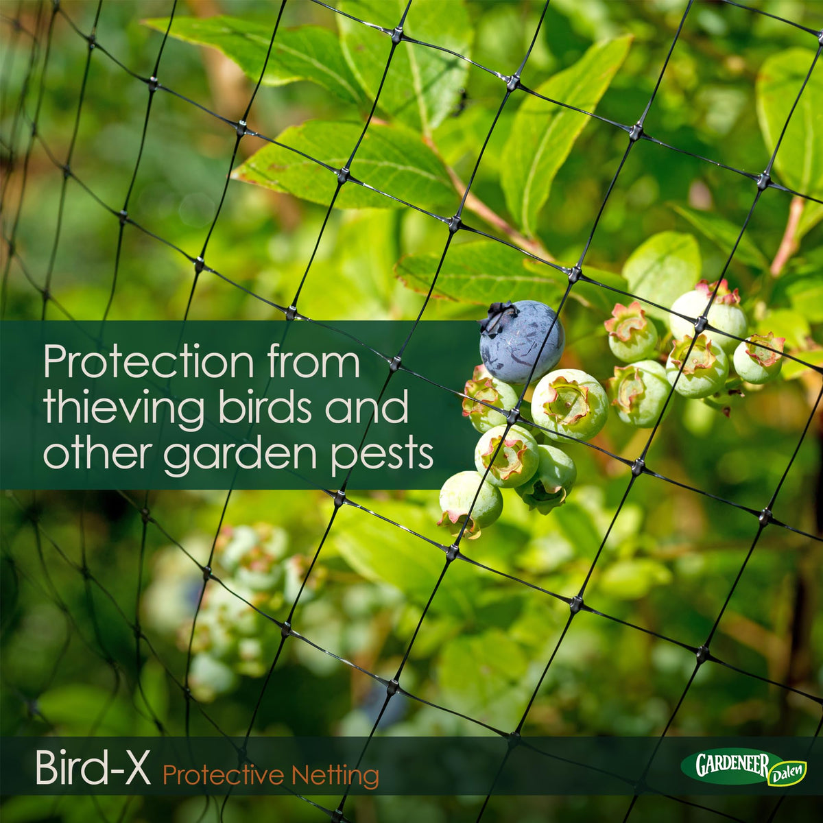 Dalen Bird-X netting covering a vegetable row for pest deterrence