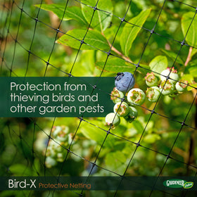 Dalen Bird-X netting covering a vegetable row for pest deterrence