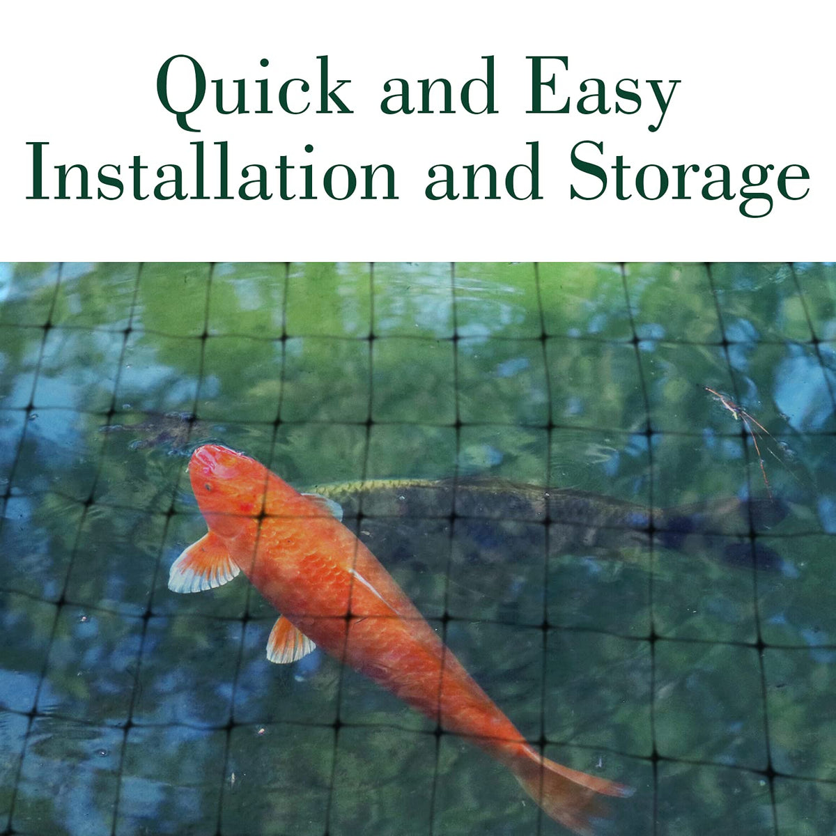 Dalen mesh protects aquatic life and reduces debris in a pond.