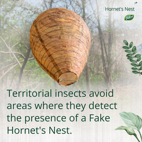 Dalen Hornet's Nest 3-pack provides broad outdoor coverage and peace of mind.