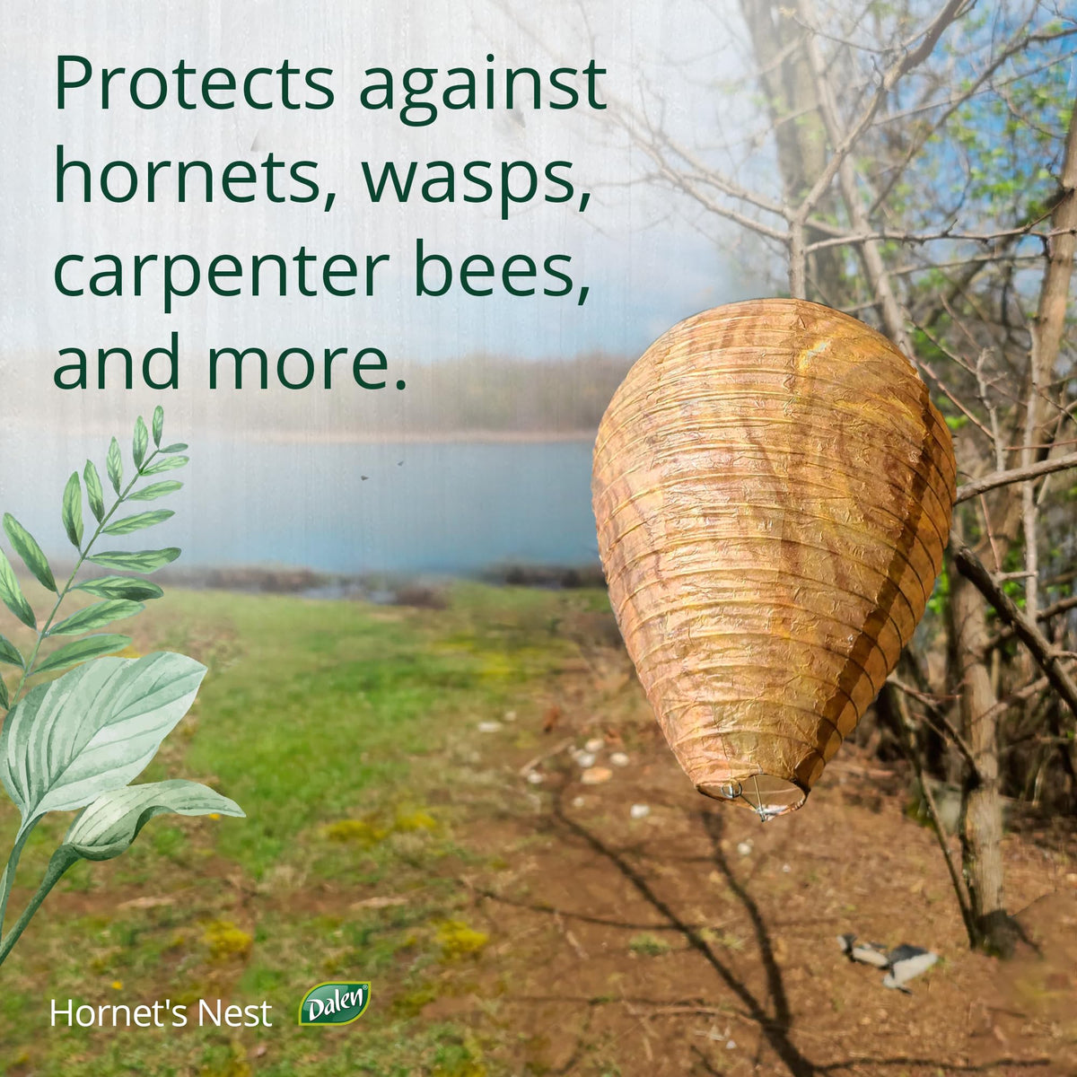Dalen Hornet's Nest installation in a garden reclaims space from buzzing intruders.
