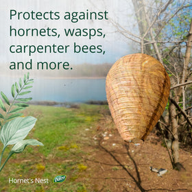 Dalen Hornet's Nest installation in a garden reclaims space from buzzing intruders.