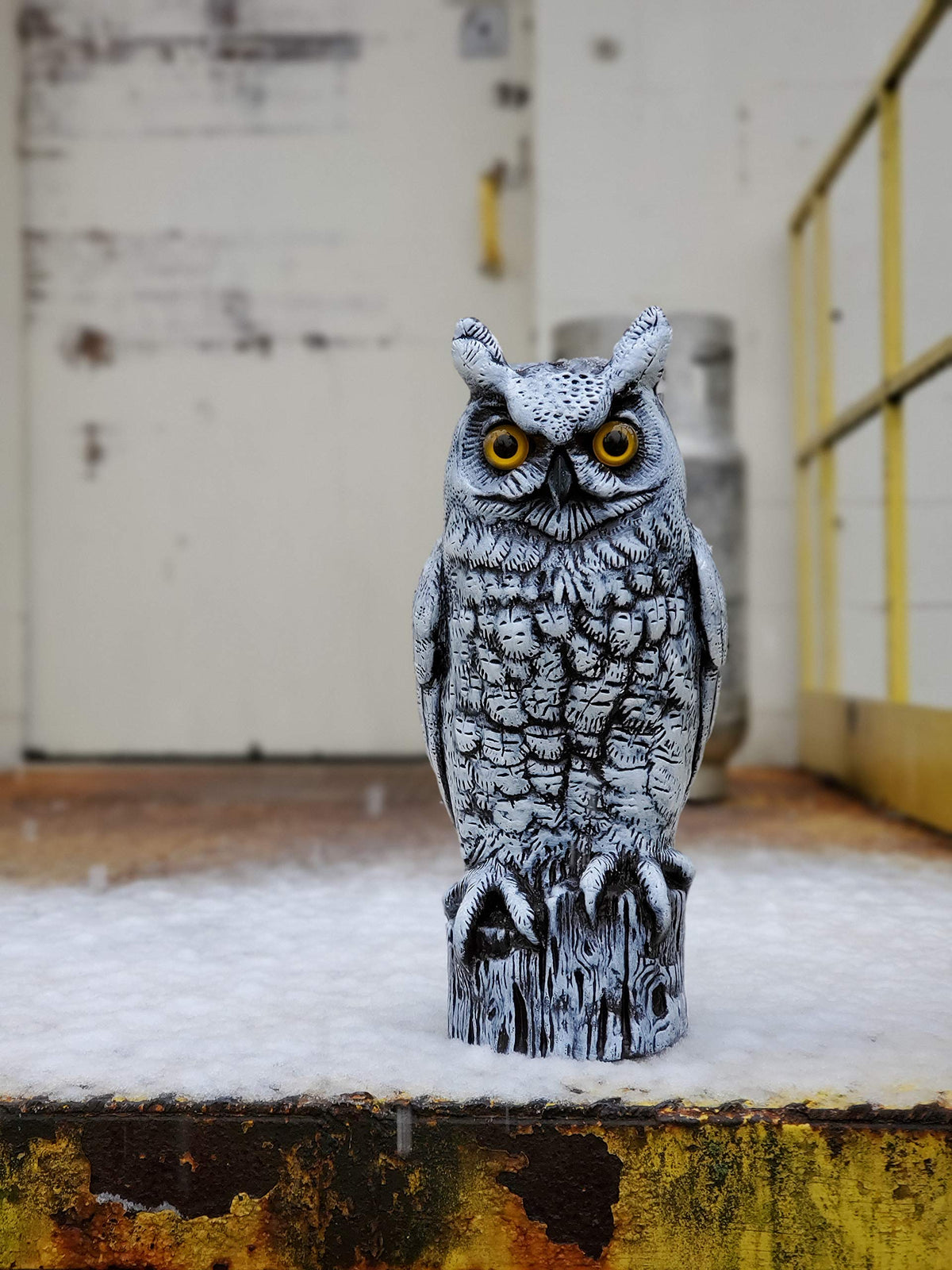 Dalen lifelike owl decoy with detailed feather texture