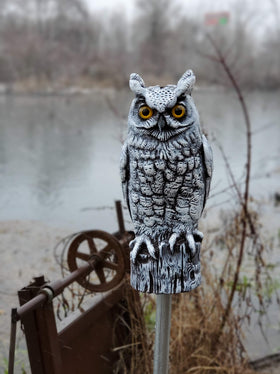 Dalen non-toxic paint on owl decoy maintains realistic look