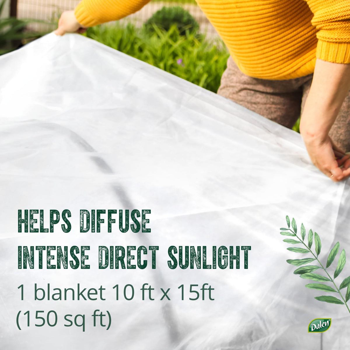 Dalen Scorch Guard reduces UV exposure to protect delicate leaves