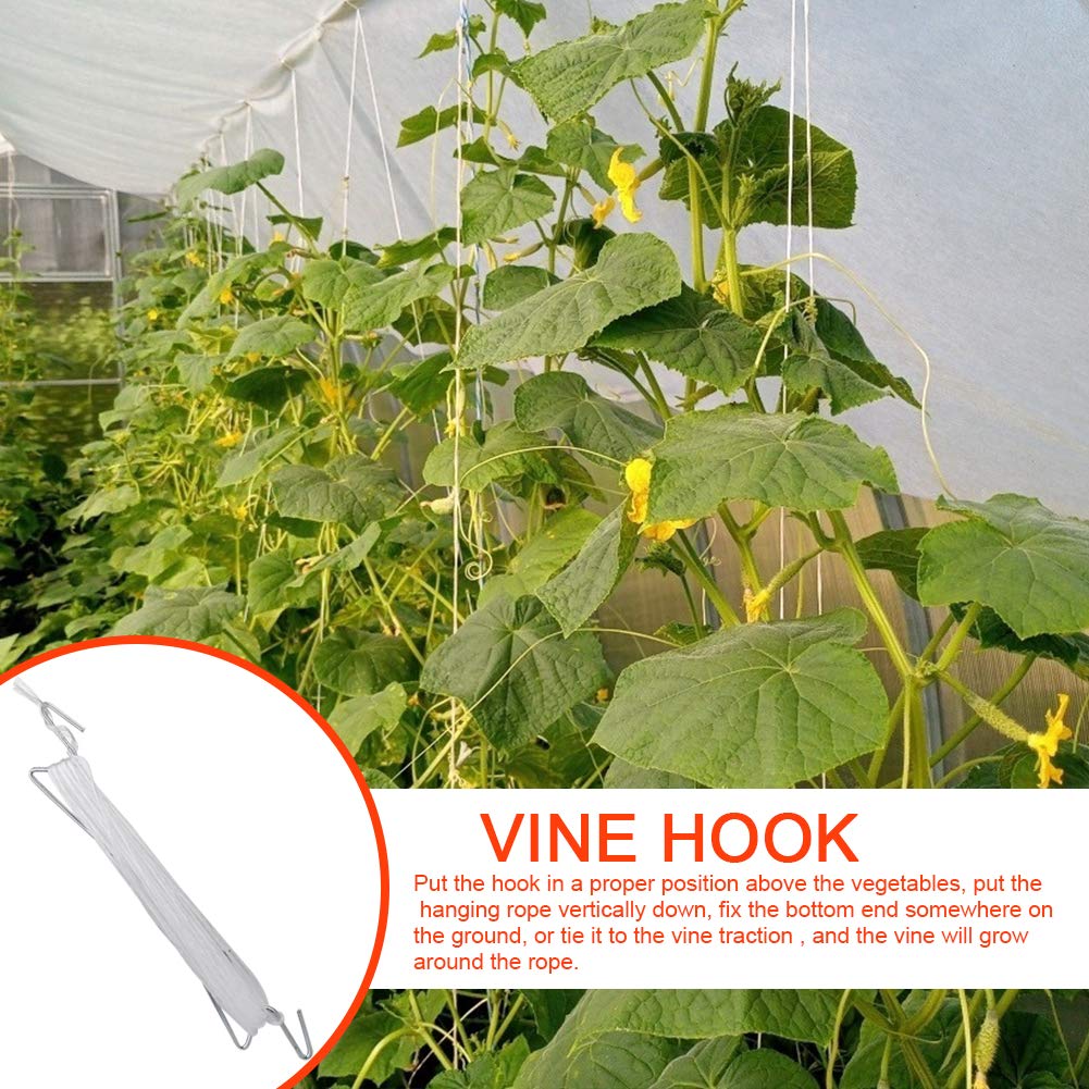 DAMEING greenhouse setup using hooks for vertical garden spaces