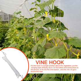 DAMEING greenhouse setup using hooks for vertical garden spaces