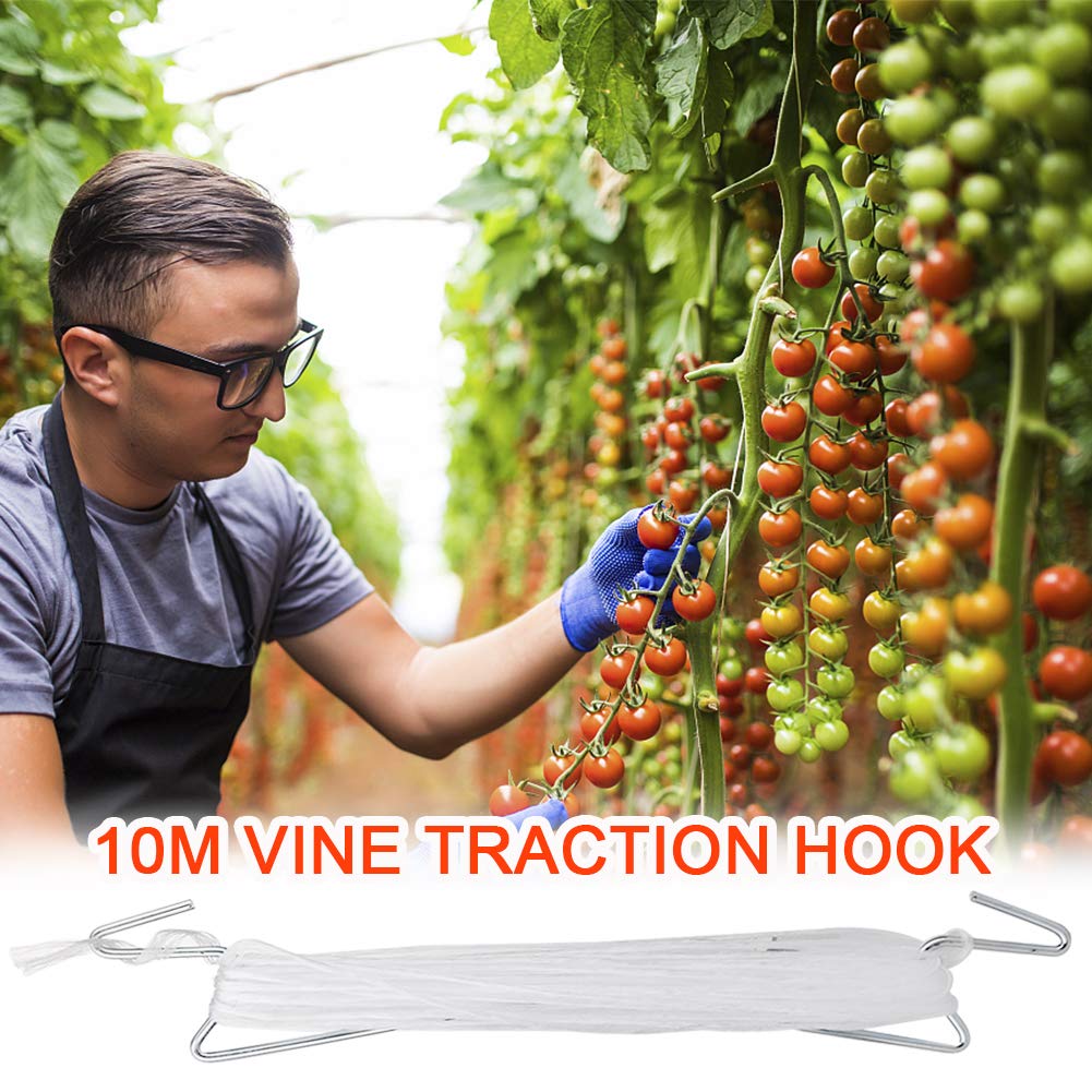 DAMEING tomato J-hook keeps fruit upright for easier harvest