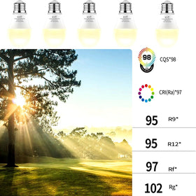 Damotec A19 4000K light offers balanced, comfortable indoor lighting for plants