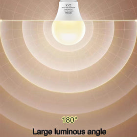 Damotec A19 bulb installed in a lamp for home gardening
