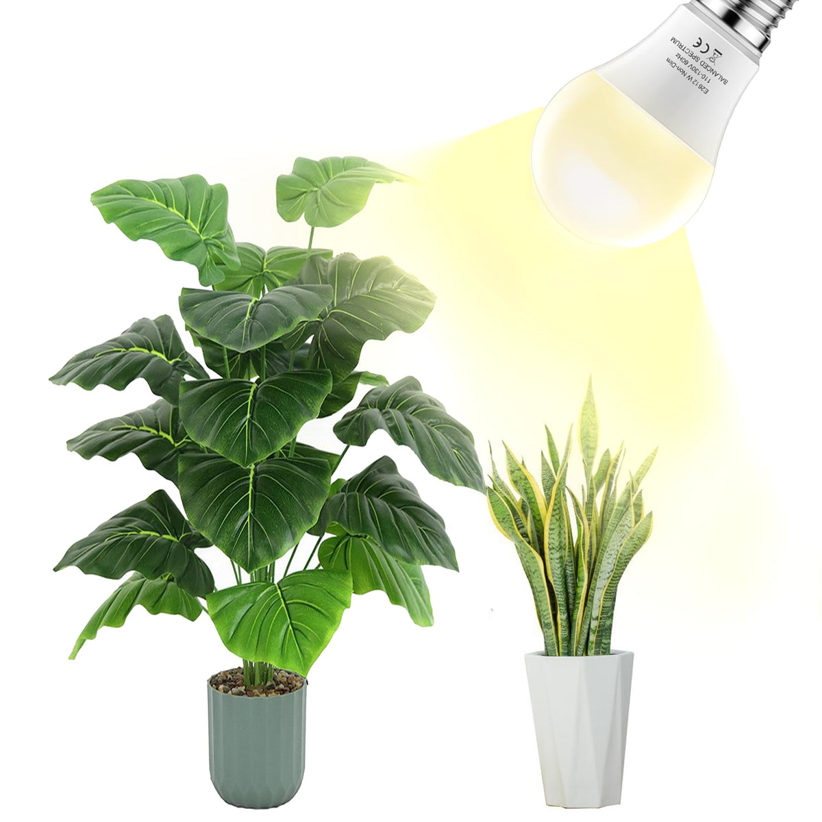 Damotec A19 grow light bulb with 12-month warranty and support