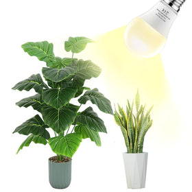 Damotec A19 grow light bulb with 12-month warranty and support
