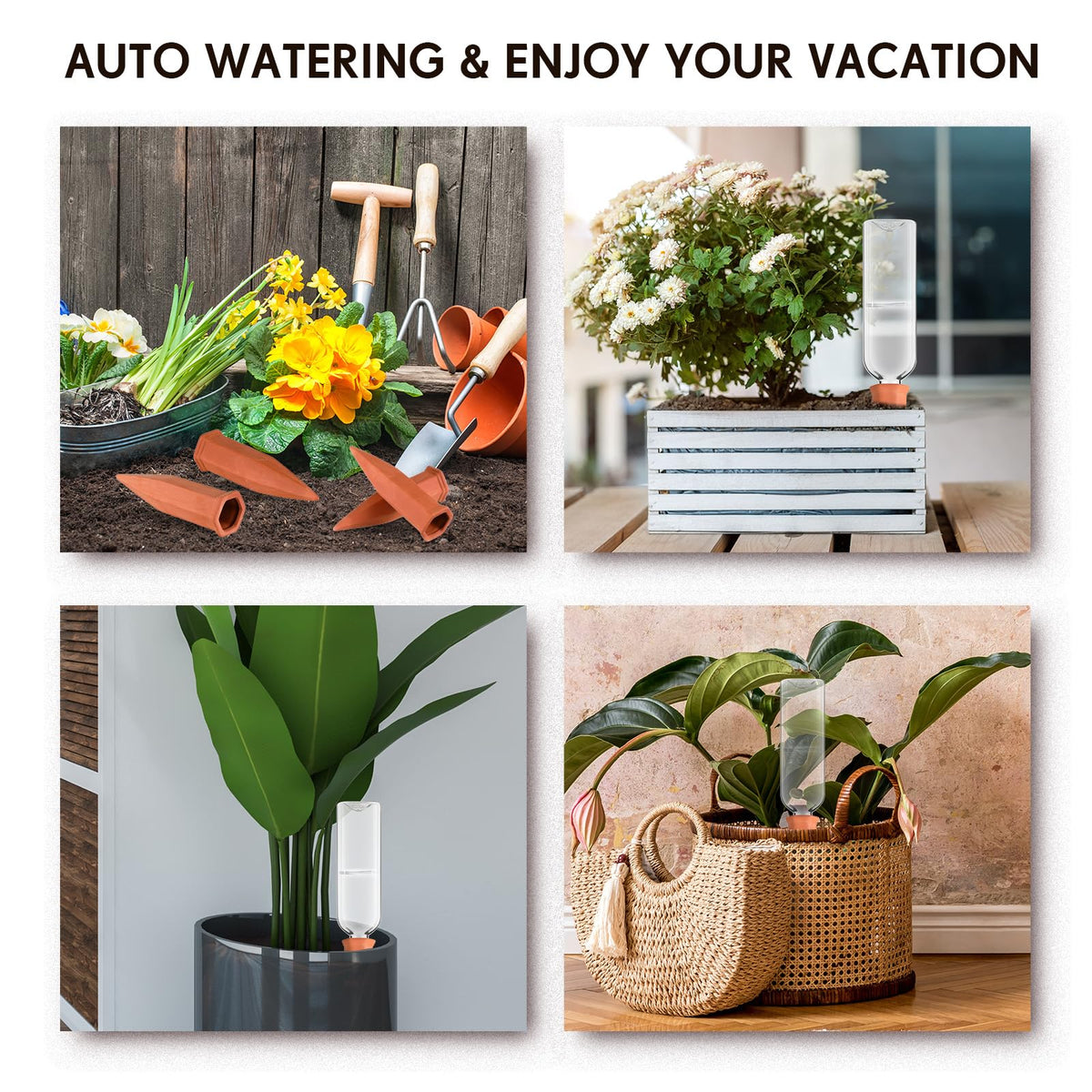 Dandat simple refill and reinsertion keeps plants thriving with minimal effort.