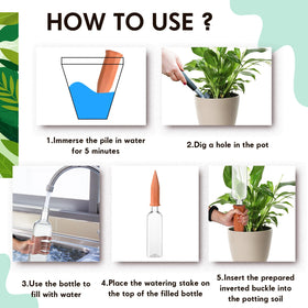 Dandat indoor plant setup with hanging basket supports low-maintenance irrigation.