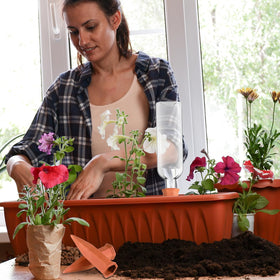 Dandat patio garden setup using self-watering spikes for outdoor irrigation.