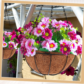 Dandat coco-liner baskets retain moisture for thriving plants