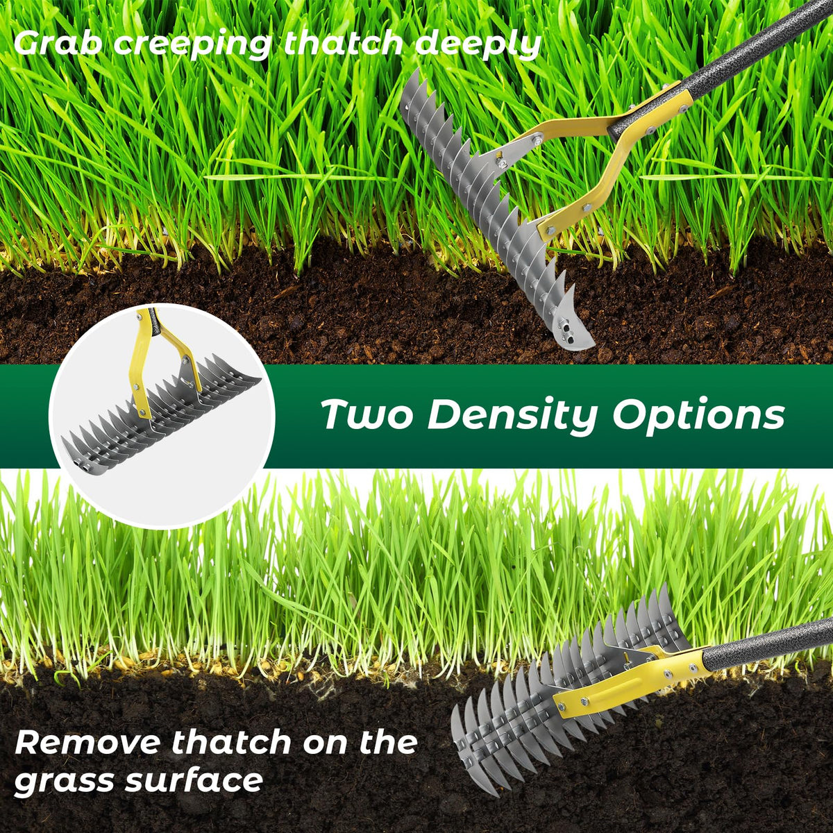 Daneried Thatch Rake adjustable handle highlighted for effortless length changes during yard tasks.