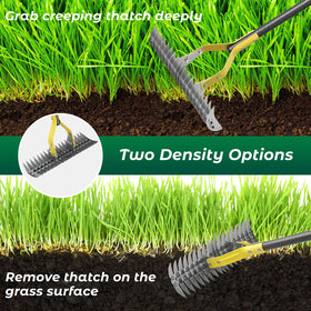 Daneried Thatch Rake adjustable handle highlighted for effortless length changes during yard tasks.