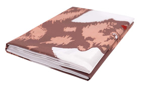 DANF FLAG 3x5ft NRC banner ideal for pole display or classroom decor.