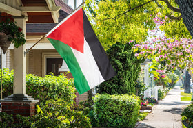 DANF FLAG Palestine flag folded for easy storage.