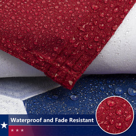 DANF FLAG Texas flag featuring brass grommets for durable mounting.
