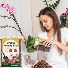 DANGKELILI indoor garden setup illustrating balanced drainage and aeration.
