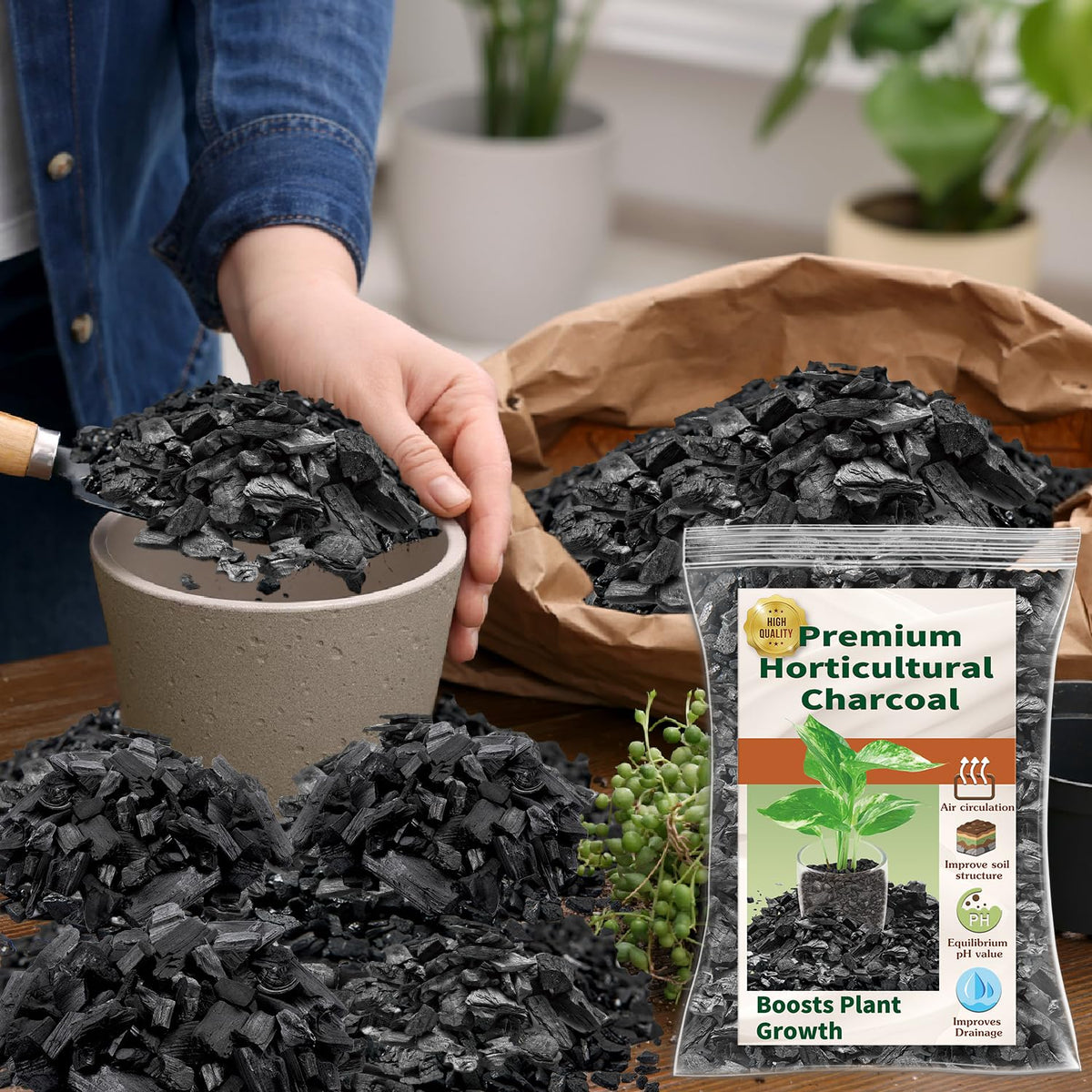 DANGKELILI succulent mix with charcoal for balanced nutrients.