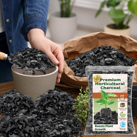 DANGKELILI succulent mix with charcoal for balanced nutrients.
