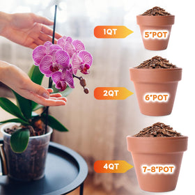 DANGKELILI orchid care with Phalaenopsis using the mix promotes healthy roots.