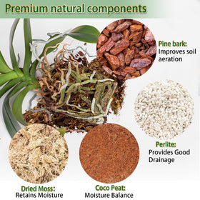 DANGKELILI orchid potting mix with coco peat for balanced moisture.