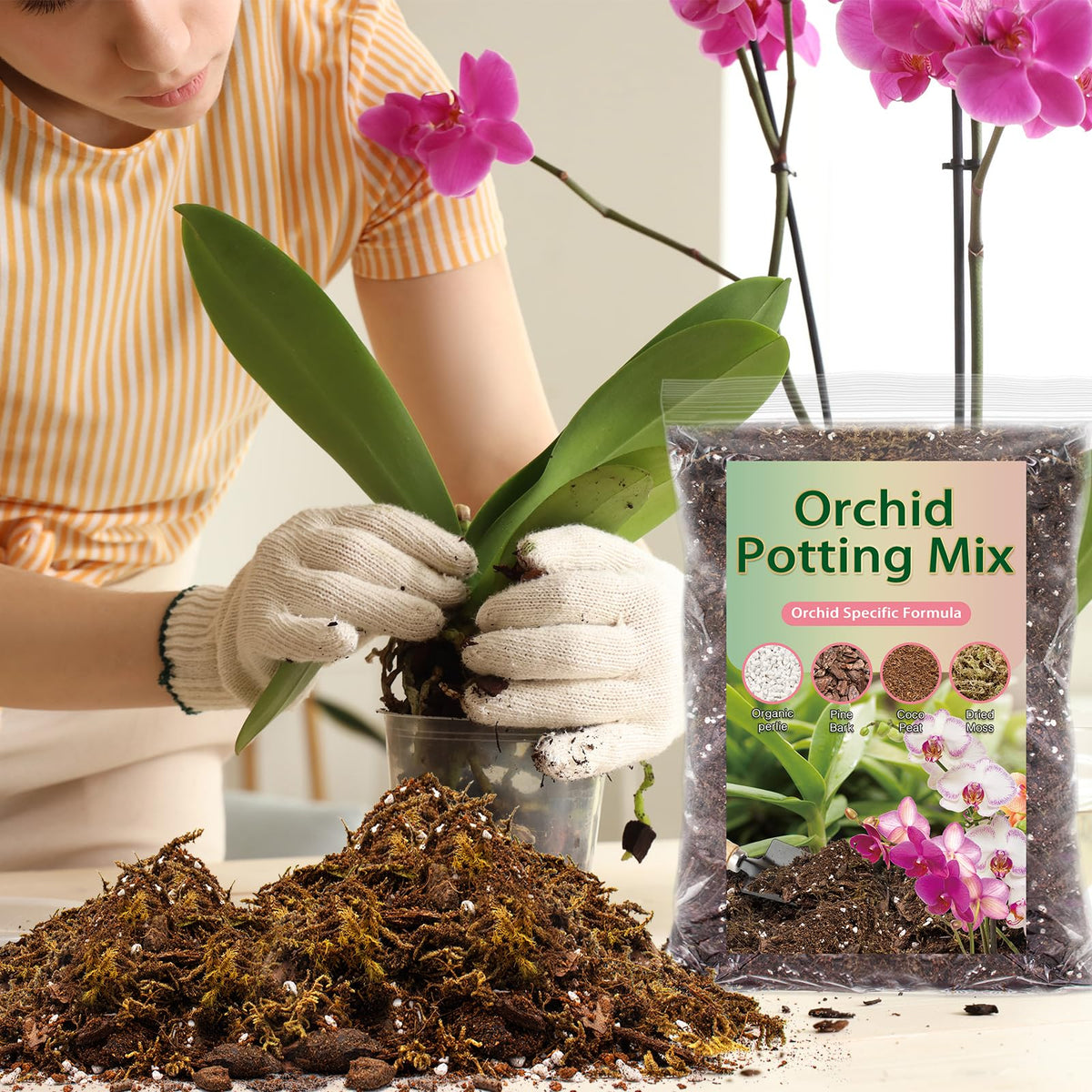 DANGKELILI orchid potting mix versatile for Phalaenopsis and other orchids.