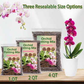 DANGKELILI orchid potting mix with dried forest moss supports lush growth.