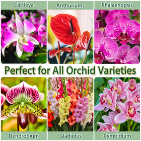 DANGKELILI orchid potting mix in resealable bag for easy storage.