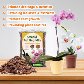 DANGKELILI resealable 1QT bag keeps mix fresh for later repotting.