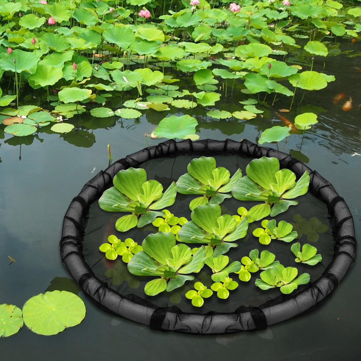 DANHMAO Set supports protecting several plants at once.