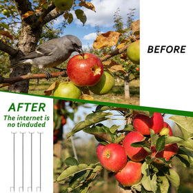 DANHMAO thick-metal construction provides sturdy support for nets and vines.