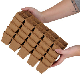 Daniel's Plants seed-starts herbs tropical plants with these trays