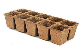 Daniel's Plants seedling trays 100-cell close-up reveals root-friendly material