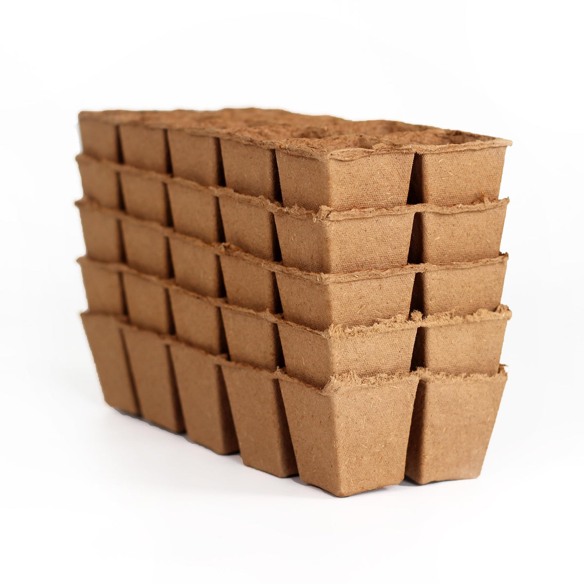 Daniel's Plants seedling trays 100-cell front shows organized starter system