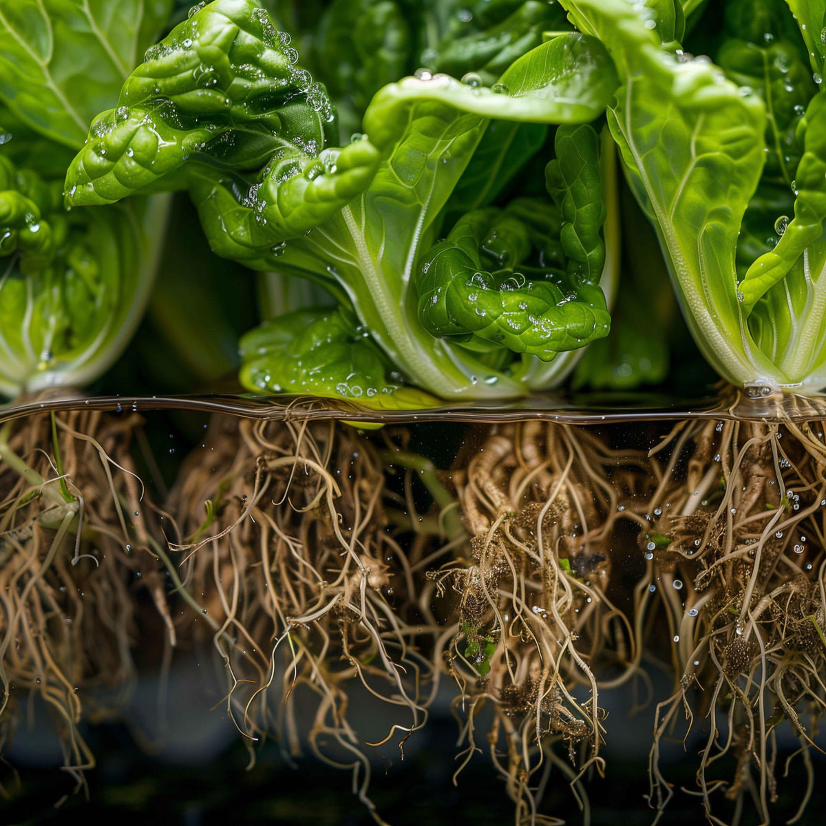 Inline installation of Danner Supreme Hydro-Mag in a hydroponic system.