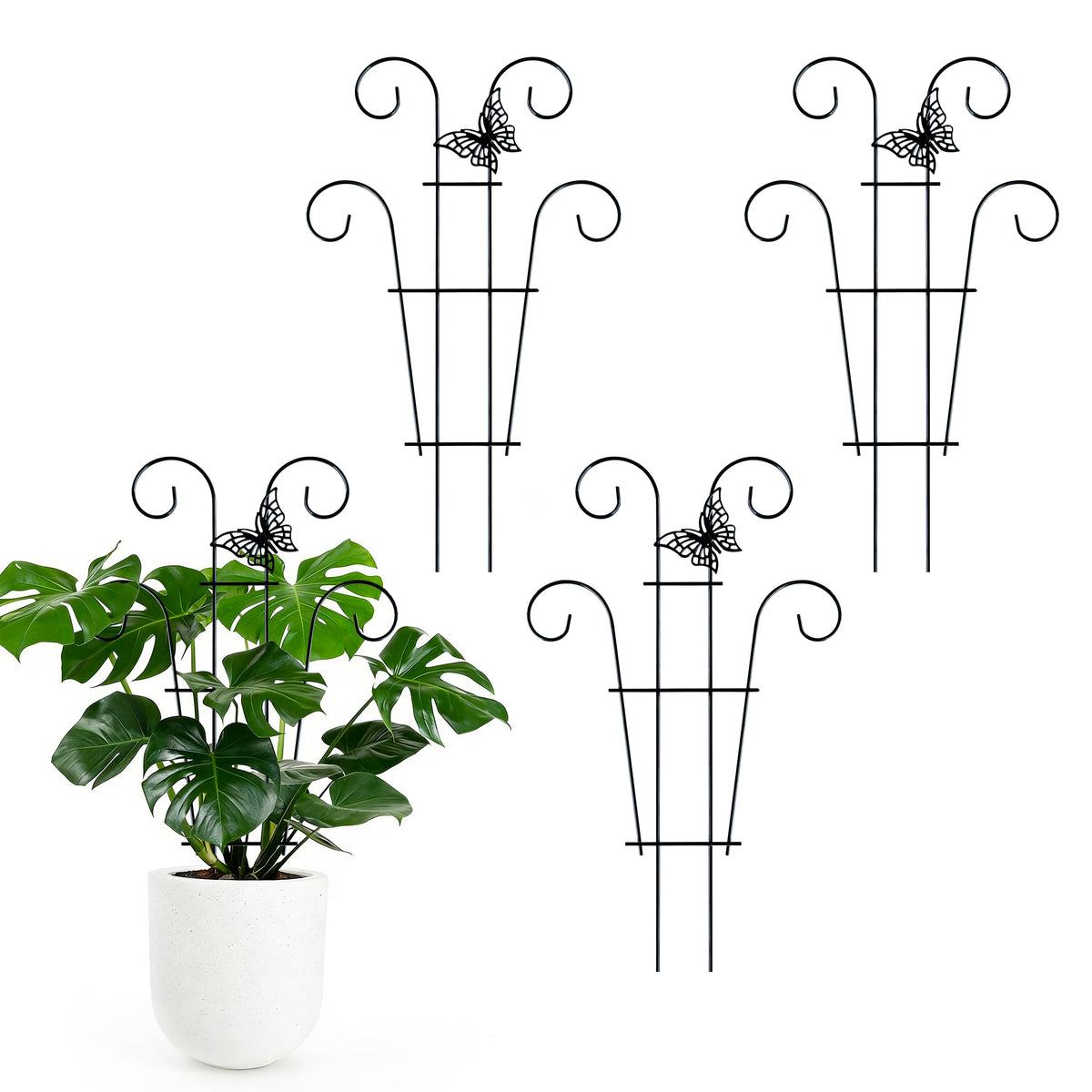 Danqgogoiu butterfly trellis for plants provides elegant climbing support.