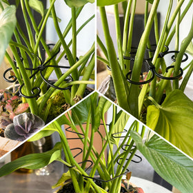 Danqgogoiu gift-ready plant accessory for plant lovers and homes