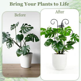 Danqgogoiu gold finish decorative climber enhances plant display.
