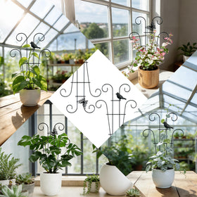 Danqgogoiu indoor outdoor plant support for Monstera and ivy.
