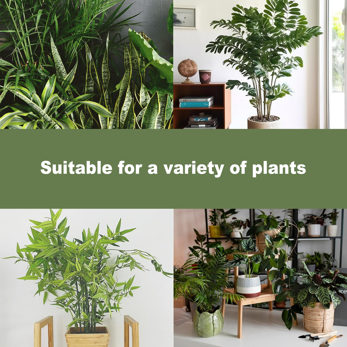 Danqgogoiu leaf-stability helps support upward growth without leaf damage