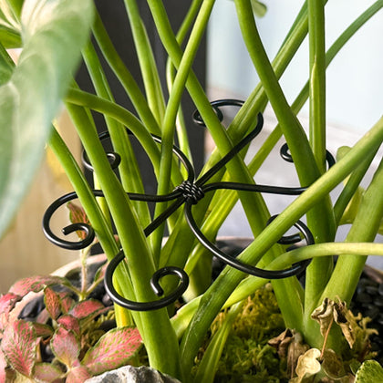 Danqgogoiu four-piece stakes provide stackable support for growing monstera leaves