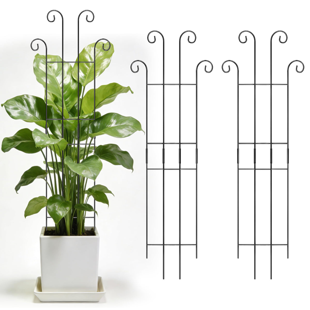 Danqgogoiu 3-set tall trellis assembled, supports climbing plants indoors
