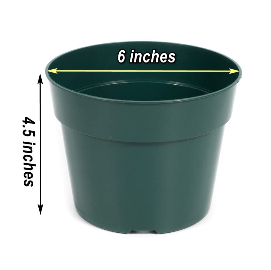 DAPERCI green nursery pot showing thick walls, interior view highlighting durability.