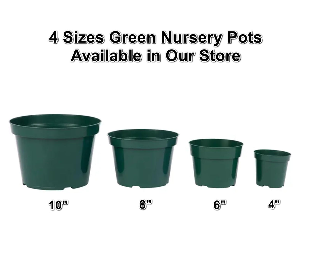 DAPERCI green pot ideal for outdoor planting in all seasons.