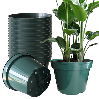 DAPERCI RooTrimmer 8-inch pot front view, sturdy for outdoor and indoor use.